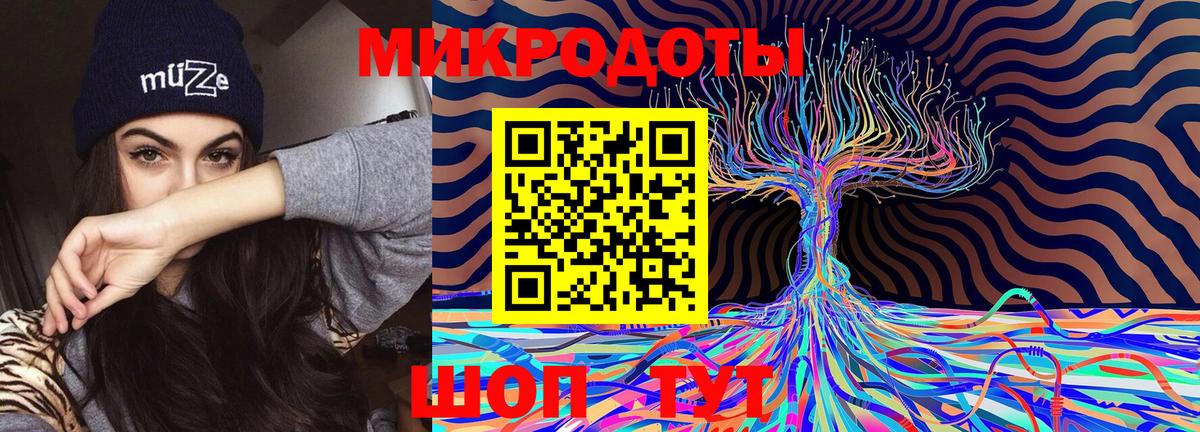 Галлюциногенные грибы Cubensis Новодвинск