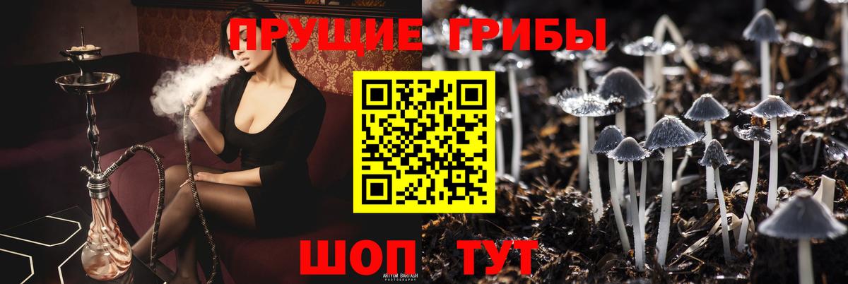 Галлюциногенные грибы MAGIC MUSHROOMS  Вход с VPN  Новодвинск  что такое   Галлюциногенные грибы ЛСД 